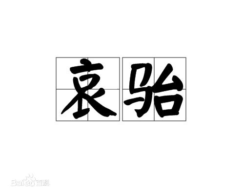 中国姓氏系列-13.jpg