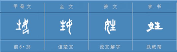 “姓”是中国最古老的学校，《百家姓》都是“氏”，根本不是姓-5.jpg