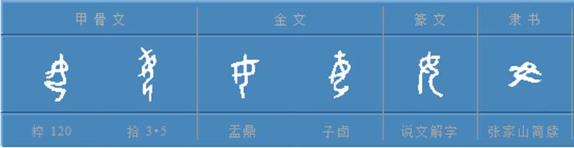 “姓”是中国最古老的学校，《百家姓》都是“氏”，根本不是姓-3.jpg