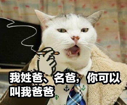 中国人在给猫咪起名这件事上，还真没怕过谁-1.jpg