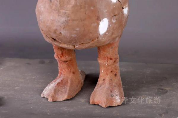 菏泽考古现场发现两千年“萌”兽，网友们为了起名操碎心-8.jpg