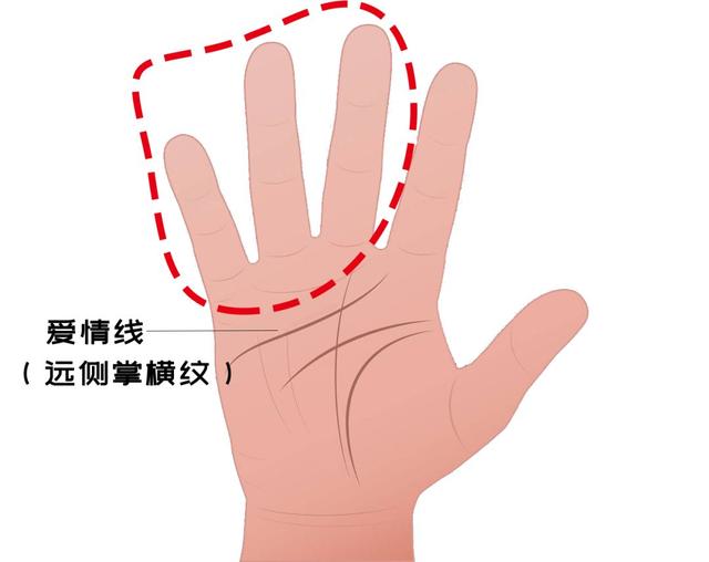医学角度下的手相：手纹、指甲……暗示了什么？