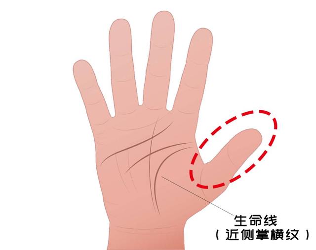 医学角度下的手相：手纹、指甲……暗示了什么？