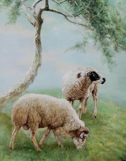 022年属羊的是什么命运，属羊人命里带二婚"