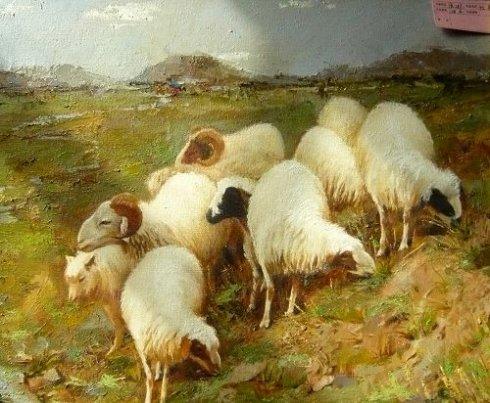 022年属羊的是什么命运，属羊人命里带二婚"